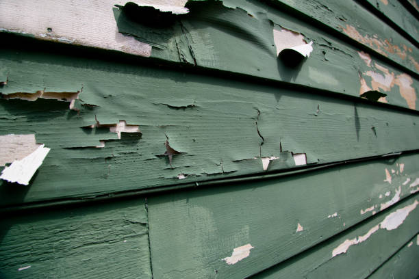 Affordable siding repair and maintenance services in Arlington Heights, WA