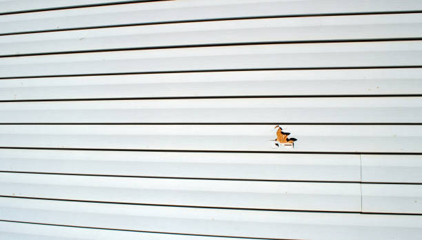 Trusted Arlington Heights, WA Siding Installation & Repair Experts